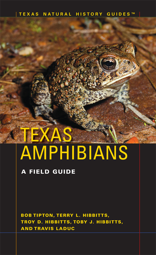 texas amphibians