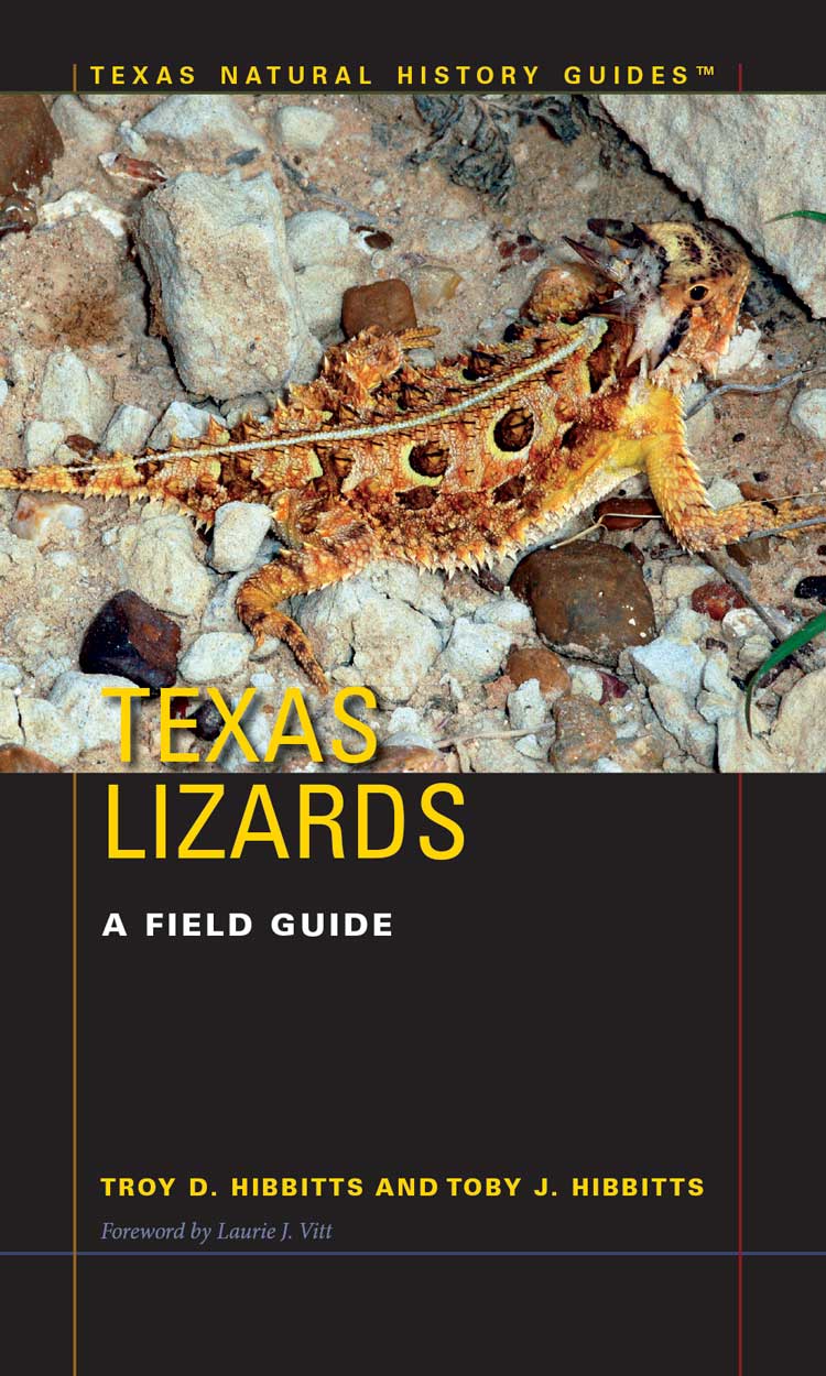 texas lizard