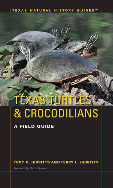 texas turtles