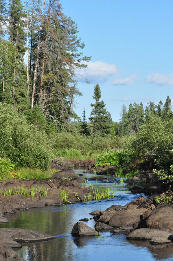 Cook County, Minnesota
