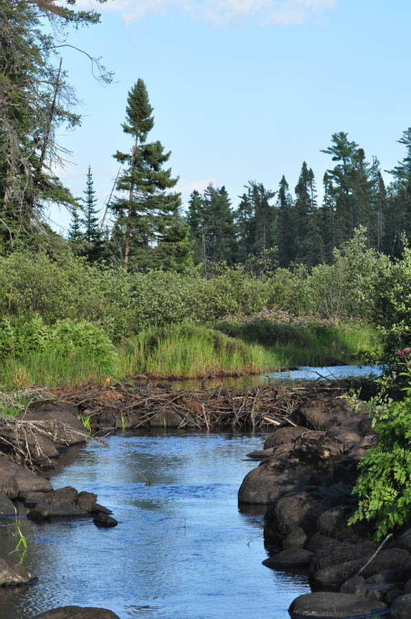 Cook County, Minnesota