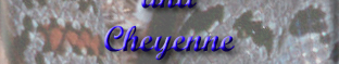 Photos and Background about Cheyenne
